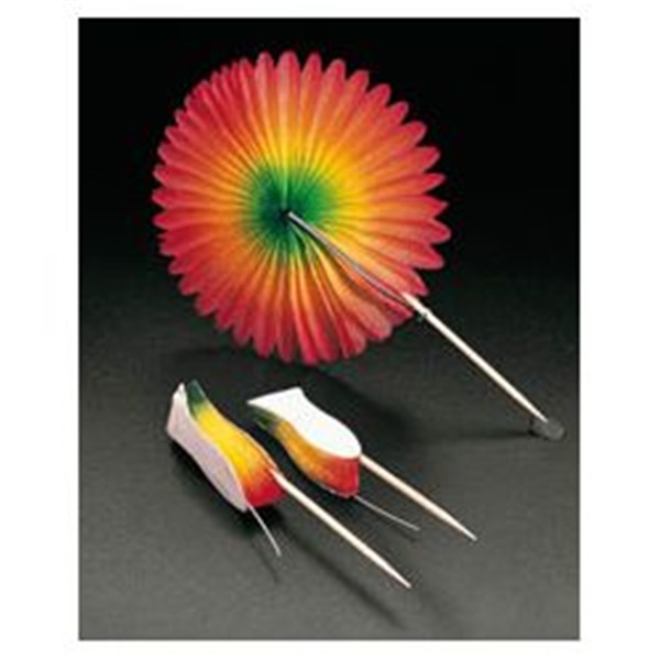 Art&iacute;culos decorativos c&oacute;ct