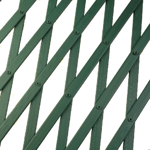 Celos&iacute;a pl&aacute;stica.