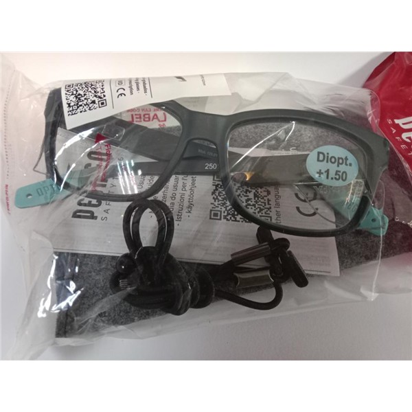 Gafas pregraduadas PEGASO Work&Fun