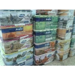 Pintura plastica Colores del mundo