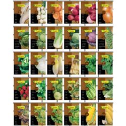 Semillas flower, gran variedad.