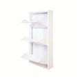 Zapatero DUNNE 3 modulos blanco 50X13,5X103 cm.