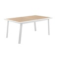Conjunto Pavanne+Axiome. Mesa 10 plazas