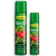 BRILLO  PREMIUM 335cc  ANTIALERG&Eacute;NICO