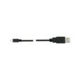 Cable USB A USB Mini