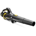 SOPLADOR A BATERIA LITIO 58V 5.2AH
